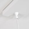 Morrison Lampada a Sospensione Bianco, 4-Luci