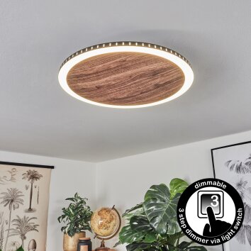 Rocha Plafoniera LED Marrone, Aspetto del legno, Nero, 1-Luce