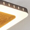 Guacacallo Plafoniera LED Oro, Nero, Bianco, 1-Luce