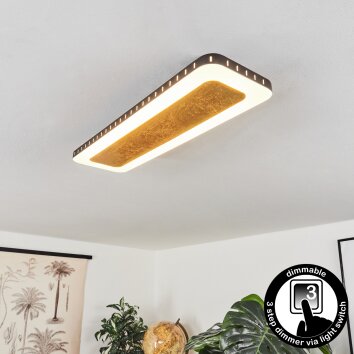 Guacacallo Plafoniera LED Oro, Nero, Bianco, 1-Luce