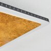 Guacacallo Plafoniera LED Oro, Nero, Bianco, 1-Luce