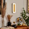 Guacacallo Applique LED Oro, Nero, Bianco, 1-Luce