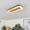 Guacacallo Plafoniera LED Oro, Nero, Bianco, 1-Luce