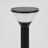 Joennierni Lampioncino Segnapasso LED Nero, 1-Luce, Sensori di movimento, Cambia colore