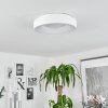 Playas Plafoniera LED Bianco, 1-Luce