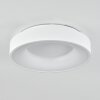 Playas Plafoniera LED Bianco, 1-Luce