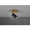 Trio MARLEY Applique Nero-Oro, 1-Luce