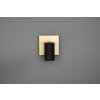 Trio MARLEY Applique Nero-Oro, 1-Luce