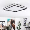 Nabbas Plafoniera LED Nero, 1-Luce