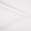 Boyero Plafoniera LED Bianco, 1-Luce