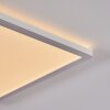 Boyero Plafoniera LED Bianco, 1-Luce