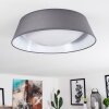 Negio Plafoniera LED Bianco, 1-Luce