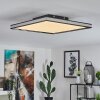 Nabbas Plafoniera LED Nero, 1-Luce