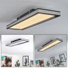 Nabbas Plafoniera LED Nero, 1-Luce