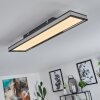 Nabbas Plafoniera LED Nero, 1-Luce