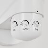 Langra Applique da esterno LED Bianco, 2-Luci, Sensori di movimento