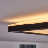 Boyero Plafoniera LED Nero, Bianco, 1-Luce