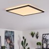 Boyero Plafoniera LED Nero, Bianco, 1-Luce