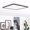 Boyero Plafoniera LED Nero, Bianco, 1-Luce