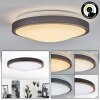 Kelva Plafoniera LED Ottone antico, Nero, Bianco, 1-Luce