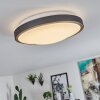 Kelva Plafoniera LED Ottone antico, Nero, Bianco, 1-Luce