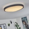 Kelva Plafoniera LED Ottone antico, Nero, Bianco, 1-Luce