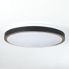 Kelva Plafoniera LED Ottone antico, Nero, Bianco, 1-Luce