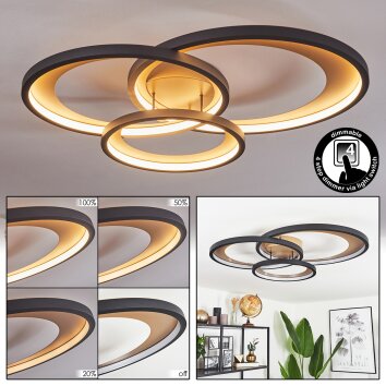 Baiyin Plafoniera LED Oro, 1-Luce