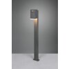 Trio Avon Lampioncino Segnapasso LED Antracite, 1-Luce, Sensori di movimento