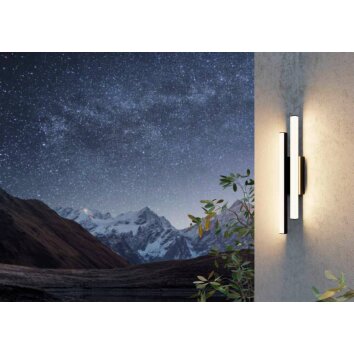 Eglo SERRICELLA Applique da esterno LED Nero, 2-Luci