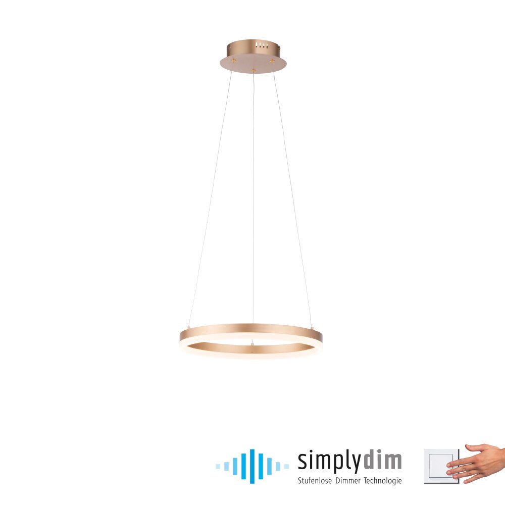 Leuchten-Direkt TITUS Lampada a Sospensione LED Ottone, 1-Luce main product photo