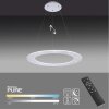 Paul Neuhaus PURE-COSMO Lampada a Sospensione LED Alluminio, 17-Luci, Telecomando