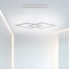 Paul Neuhaus PURE-COSMO Lampada a Sospensione LED Alluminio, 44-Luci, Telecomando