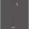 Paul Neuhaus PURE-GEMIN Lampada da terra LED Alluminio, Nero, 1-Luce