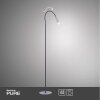 Paul Neuhaus PURE-GEMIN Lampada da terra LED Alluminio, Nero, 1-Luce