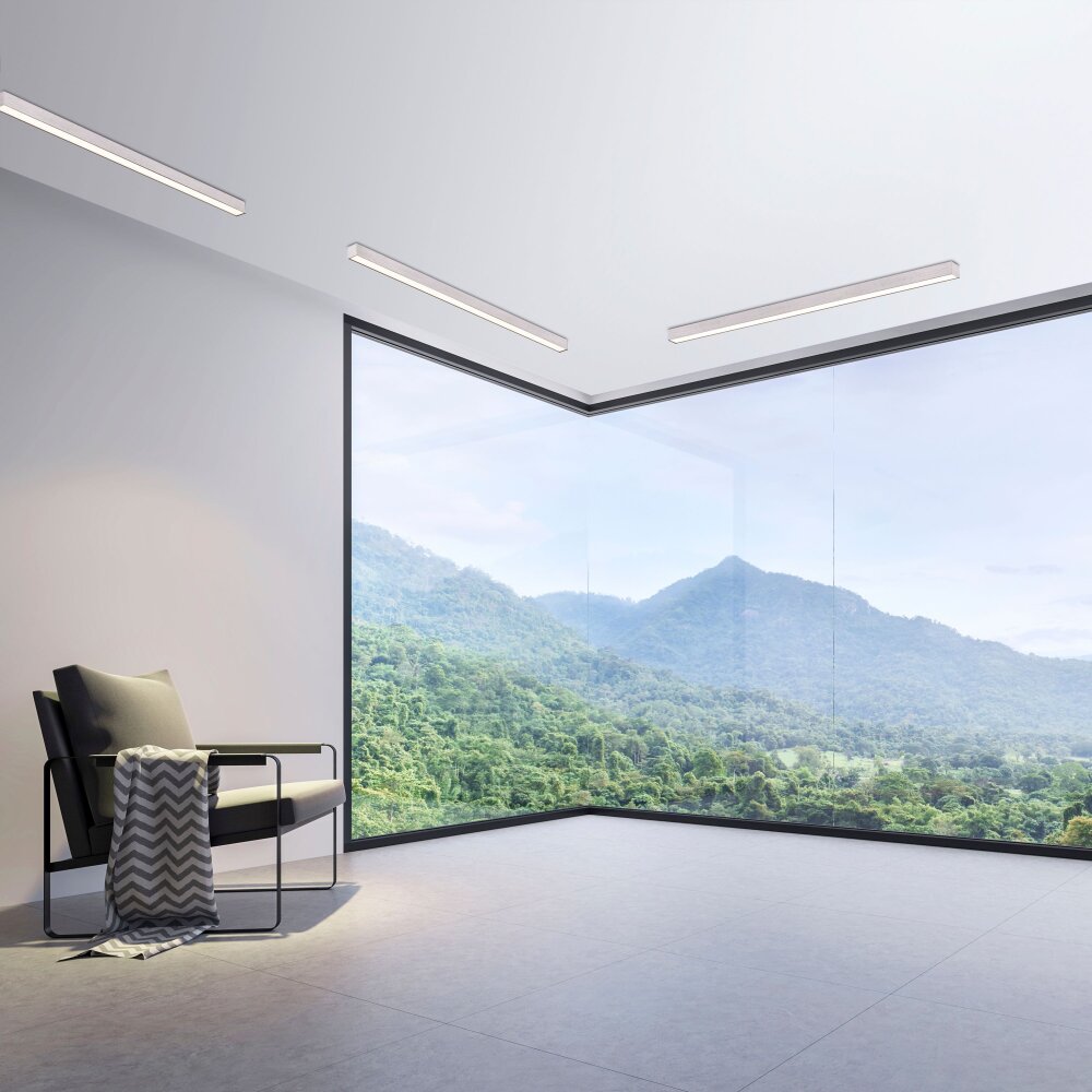 Paul Neuhaus PURE-LINES Plafoniera LED Alluminio, 1-Luce, Telecomando main product photo