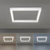 Paul Neuhaus PURE-LINES Plafoniera LED Alluminio, 1-Luce, Telecomando