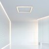 Paul Neuhaus PURE-LINES Plafoniera LED Alluminio, 1-Luce, Telecomando