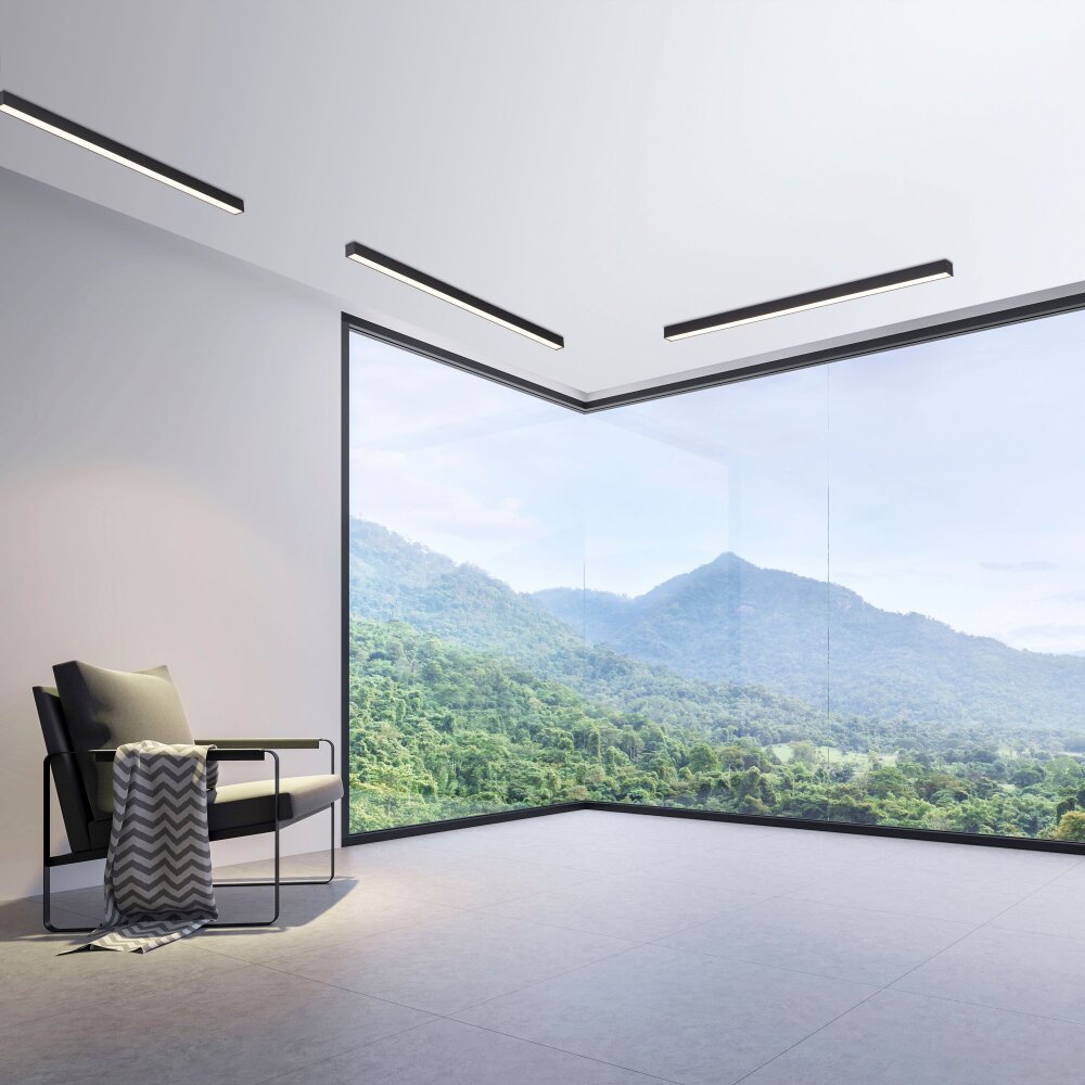 Paul Neuhaus PURE-LINES Plafoniera LED Antracite, 1-Luce, Telecomando main product photo