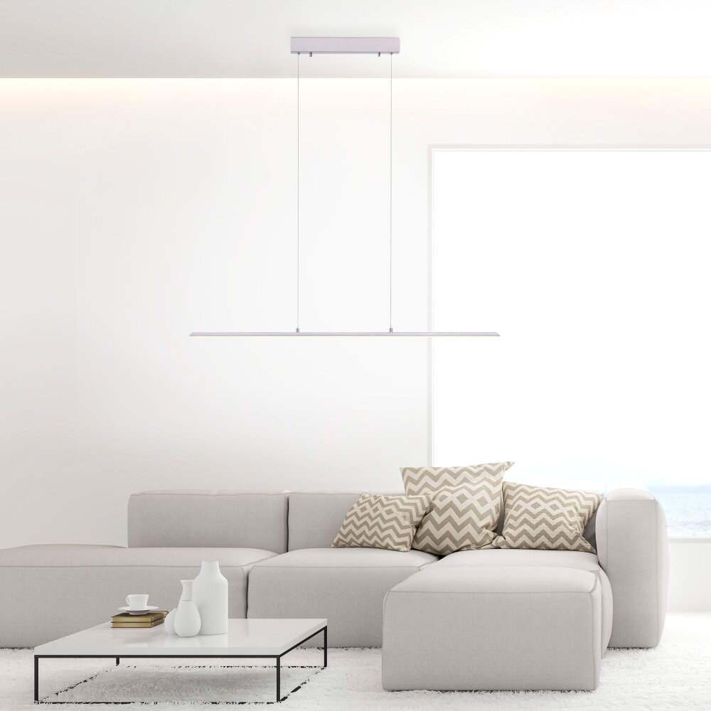Paul Neuhaus PURE-LITE Lampada a Sospensione LED Acciaio inox, 1-Luce main product photo