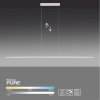 Paul Neuhaus PURE-LITE Lampada a Sospensione LED Acciaio inox, 1-Luce