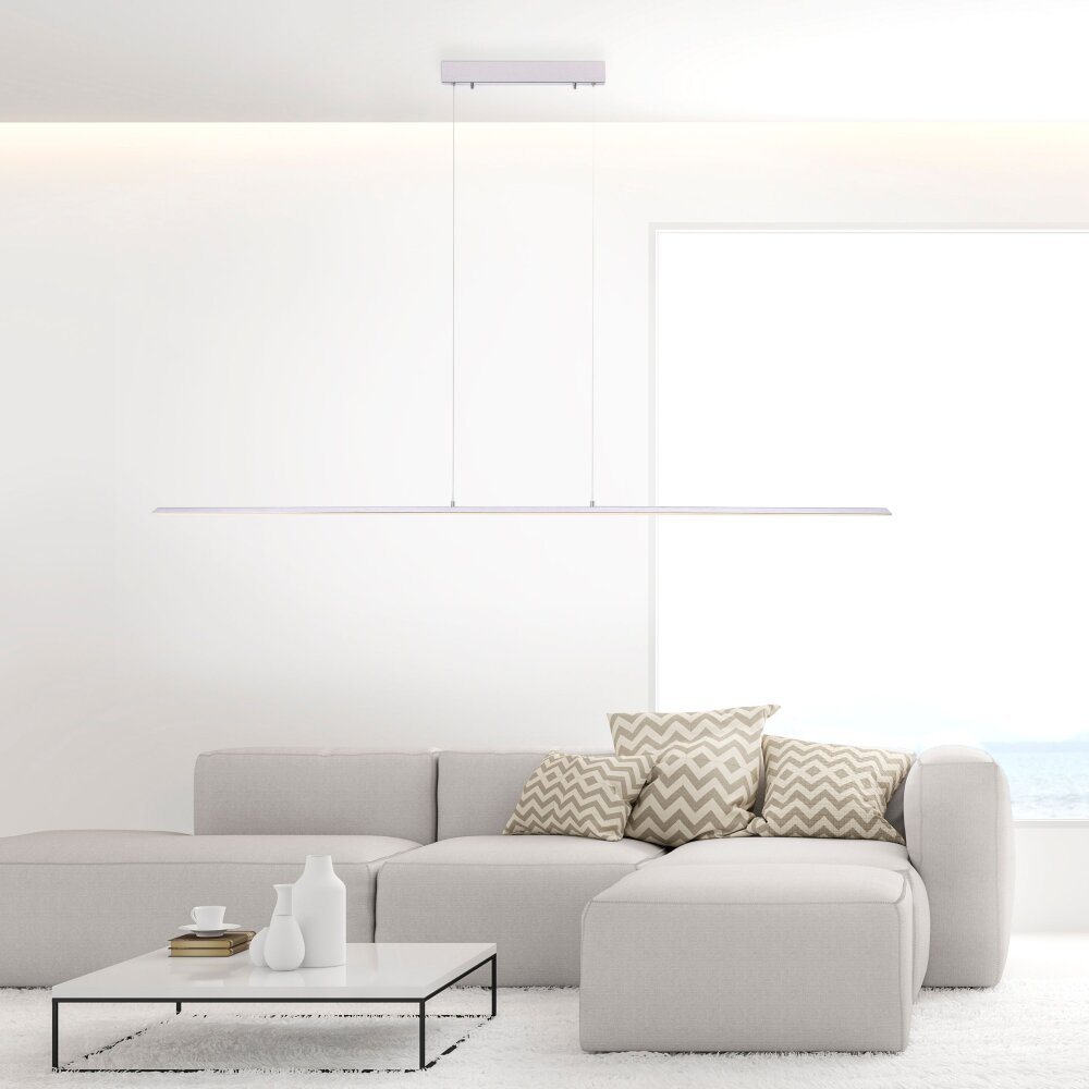 Paul Neuhaus PURE-LITE Lampada a Sospensione LED Acciaio inox, 1-Luce main product photo