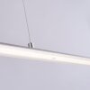 Paul Neuhaus PURE-LITE Lampada a Sospensione LED Acciaio inox, 1-Luce