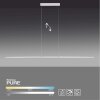 Paul Neuhaus PURE-LITE Lampada a Sospensione LED Acciaio inox, 1-Luce