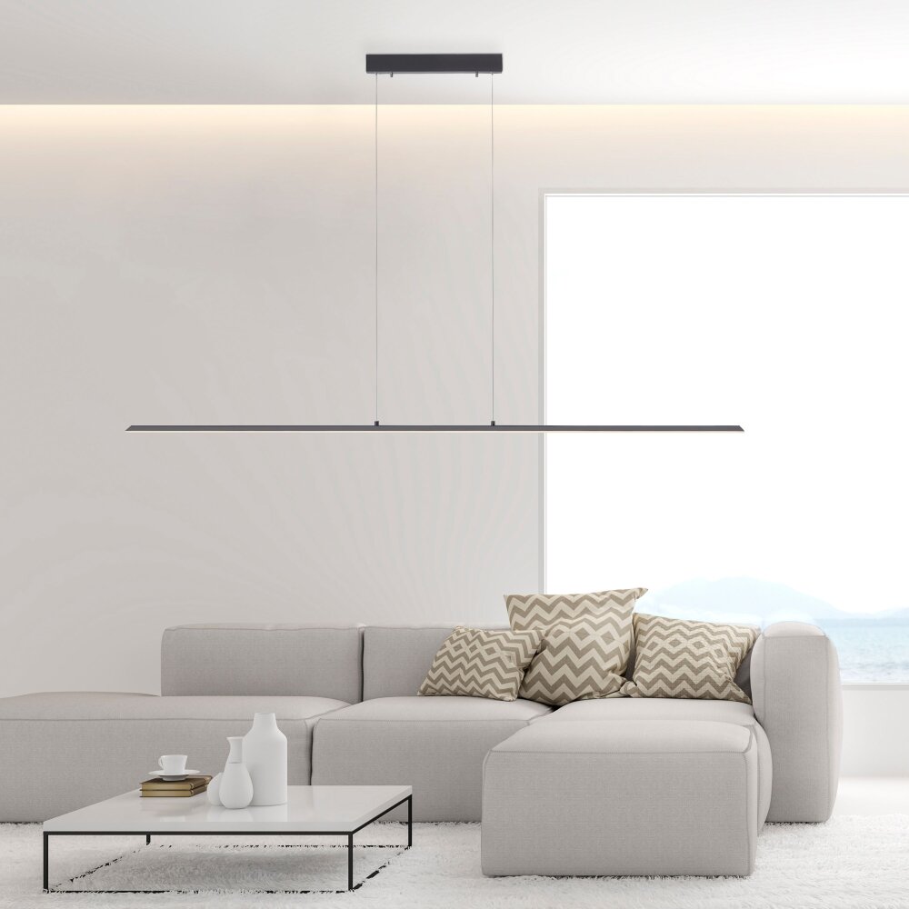 Paul Neuhaus PURE-LITE Lampada a Sospensione LED Antracite, 1-Luce main product photo