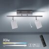 Paul Neuhaus PURE-MIRA Plafoniera LED Alluminio, 2-Luci, Telecomando
