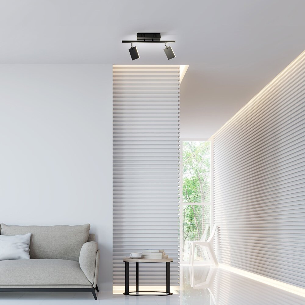 Paul Neuhaus PURE-MIRA Plafoniera LED Nero, 2-Luci, Telecomando main product photo