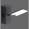 Paul Neuhaus PURE-MIRA Applique LED Nero, 2-Luci, Telecomando