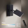 Paul Neuhaus PURE-MIRA Applique LED Nero, 2-Luci, Telecomando