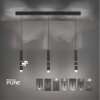 Paul Neuhaus PURE-VEGA Lampada a Sospensione LED Nero, 9-Luci